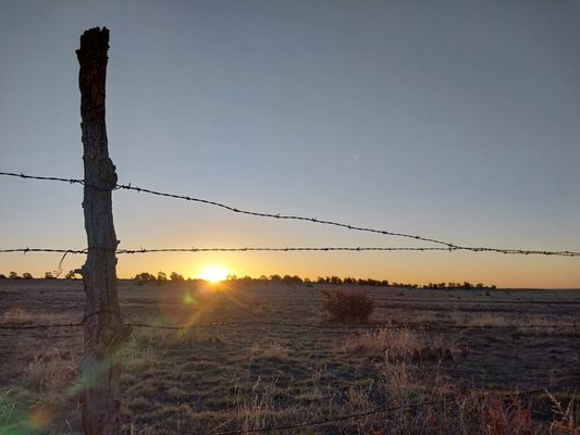 Colfax Tavern & Diner at Cold Beer NM by null