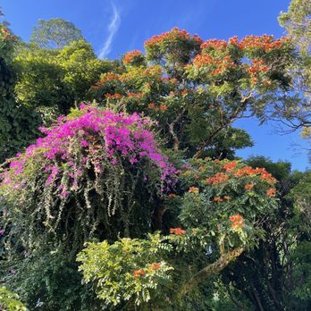 Nutridge Estate - Venues & Event Spaces Near Me - Honolulu, Hawaii