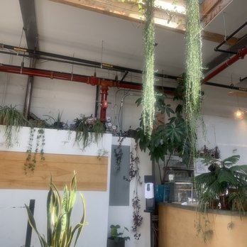 Sey Coffee - Coffee Roasteries Near Me - Brooklyn, New York Sey Coffee - Coffee Roasteries Near Me - Brooklyn, New York