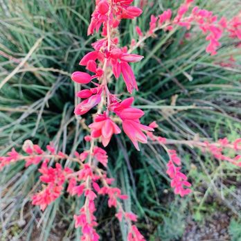Red Ridge Park - Parks Near Me - Las Vegas, Nevada