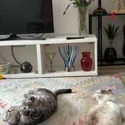 Tv set