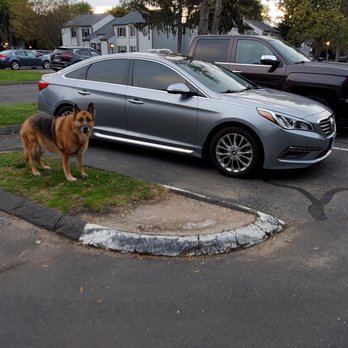 Friendly Auto Body & Towing - 2015 Hyundai Sonata Limited with a Dead Battery @ Stop & Shop Many Thanks to Tom and Trevor of Friendly Auto Body & Towing! - Body Shops Near Me - Hartford, Connecticut Friendly Auto Body & Towing - 2015 Hyundai Sonata Limited with a Dead Battery @ Stop & Shop Many Thanks to Tom and Trevor of Friendly Auto Body & Towing! - Body Shops Near Me - Hartford, Connecticut