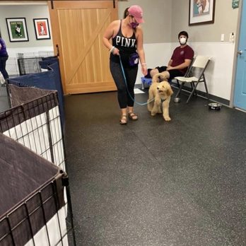 The Canine Connection - Practicing our loose leash walking. - Pet Training Near Me - Chico, California