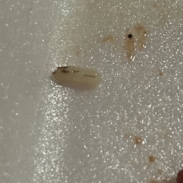 my rice??? don't know what the black stuff is