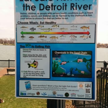 Elizabeth Park - fishing guideline - Parks Near Me - Trenton, Michigan Elizabeth Park - fishing guideline - Parks Near Me - Trenton, Michigan