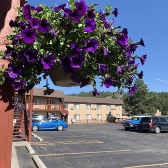 Best Western Buffalo Ridge Inn - Hotels Near Me - Custer, South Dakota Best Western Buffalo Ridge Inn - Hotels Near Me - Custer, South Dakota