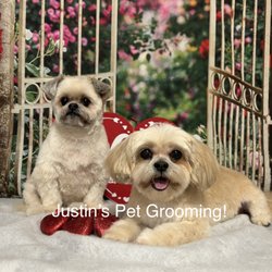 Justin’s Pet Grooming