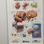 Photo of Jose A Gaudier, MD