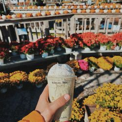 Joplin Greenhouse & The Coffee Shop in Joplin gift card