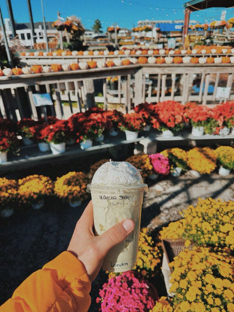 Social spots from Joplin Greenhouse & The Coffee Shop