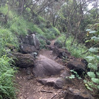 Kealia Trail - They path is mostly rocky and narrow - Hiking Near Me Kealia Trail - They path is mostly rocky and narrow - Hiking Near Me
