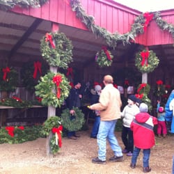 Hann's Christmas Farm
