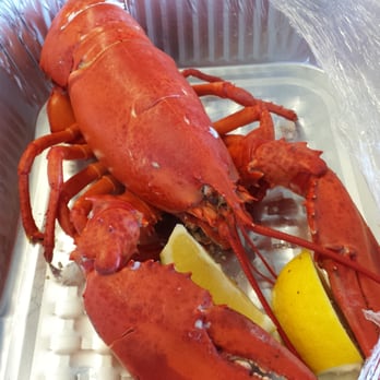 Sayle's Seafood - Freshly steamed, sweet and delicious - Seafood Markets Near Me - Nantucket, Massachusetts Sayle's Seafood - Freshly steamed, sweet and delicious - Seafood Markets Near Me - Nantucket, Massachusetts