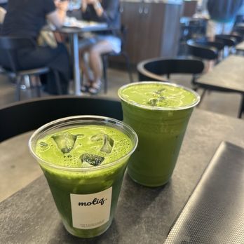 Motiq - Koi Matcha Latte and Double Matcha - Coffee & Tea Near Me - Los Angeles, California Motiq - Koi Matcha Latte and Double Matcha - Coffee & Tea Near Me - Los Angeles, California