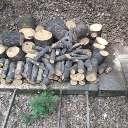 Wood they Stacked