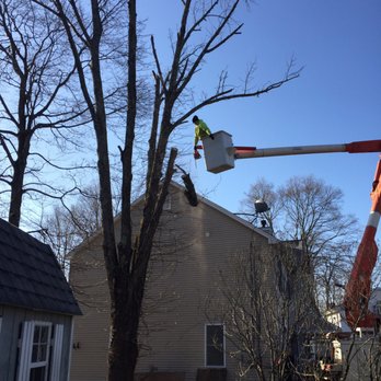 1. Cutters Tree Services