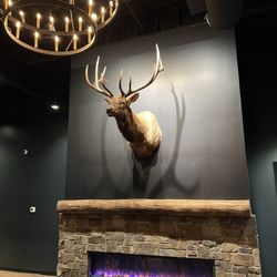 D Mike’s Resort Bar and Grill - Decor