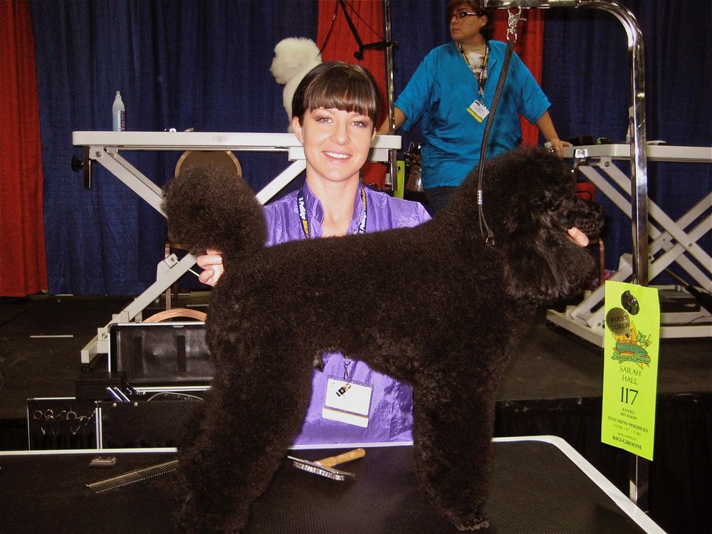 BEST IN SHOW MOBILE GROOMING Updated September 2024 17 Photos