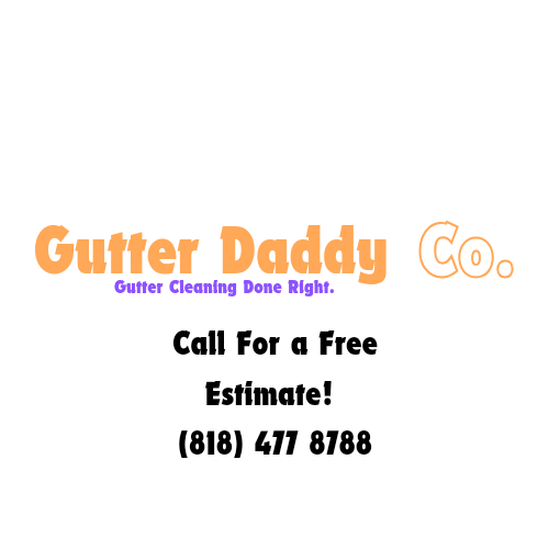 Slide of Gutter Daddy