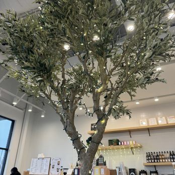 Coffee U - Interior - Coffee & Tea Near Me - Frisco, Texas