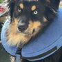 Photo of Kenosha Lake Shore Veterinary Clinic