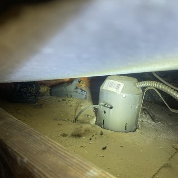 Pest Arrest - attic rodent activity - Pest Control Near Me - Santa Clarita, California Pest Arrest - attic rodent activity - Pest Control Near Me - Santa Clarita, California
