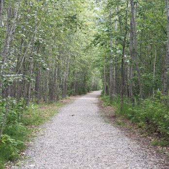 Eklutna Tailrace - Very short trail - Hiking Near Me - Palmer, Alaska Eklutna Tailrace - Very short trail - Hiking Near Me - Palmer, Alaska