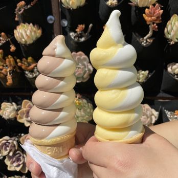 Meadowlark Dairy - Chocolate vanilla swirl and pineapple vanilla swirl - Ice Cream & Frozen Yogurt Near Me - Pleasanton, California Meadowlark Dairy - Chocolate vanilla swirl and pineapple vanilla swirl - Ice Cream & Frozen Yogurt Near Me - Pleasanton, California