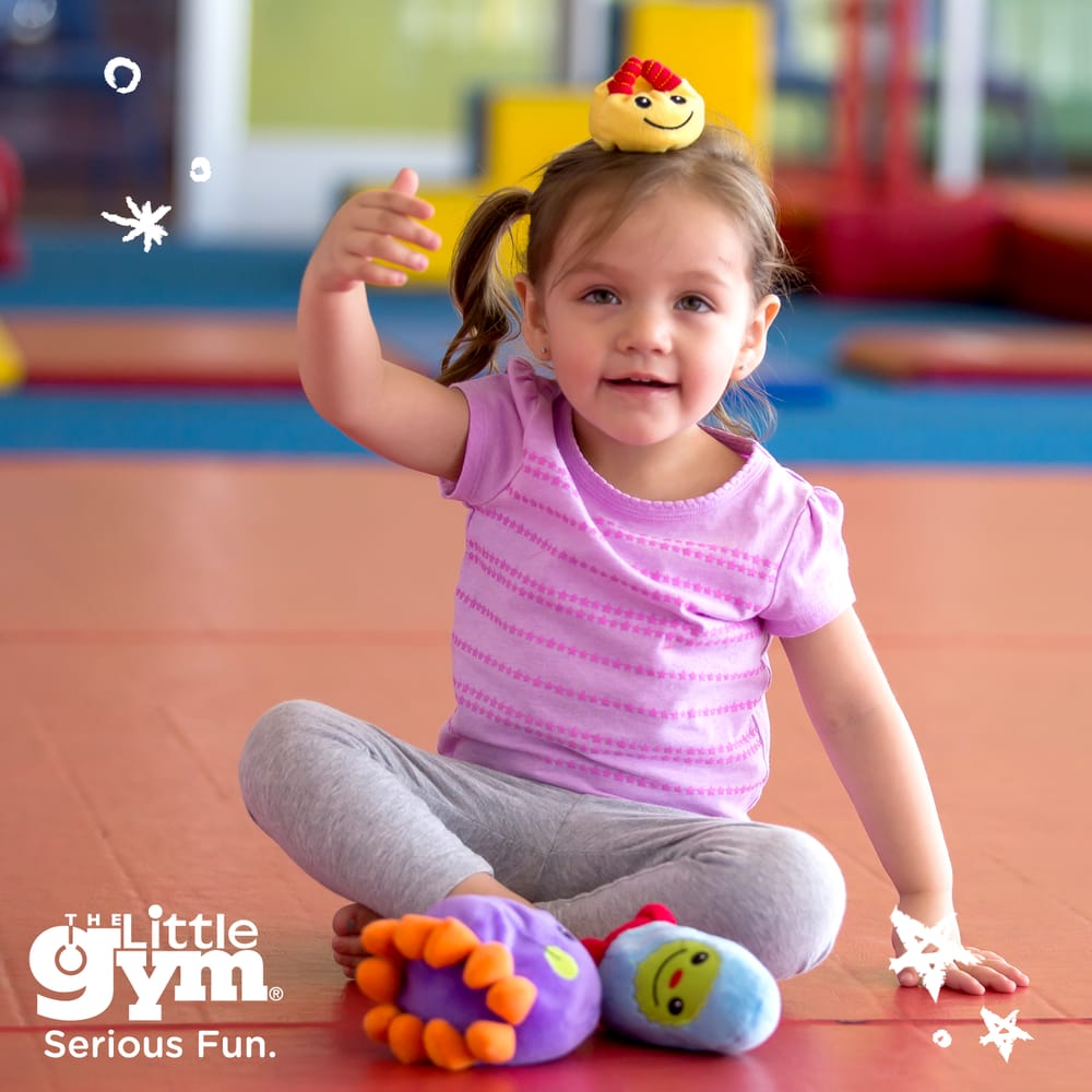 THE LITTLE GYM Updated August 2024 14 Photos 260 N Pottstown Pike