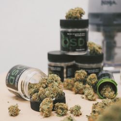 Organic Solutions of the Desert - Desert Heat - Blue Dream