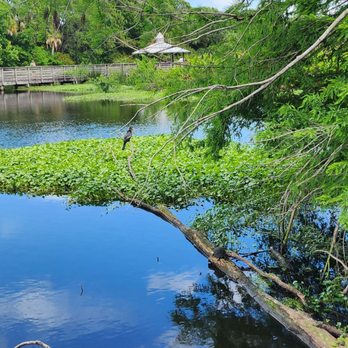 Green Cay Wetlands - Parks Near Me - Boynton Beach, Florida Green Cay Wetlands - Parks Near Me - Boynton Beach, Florida