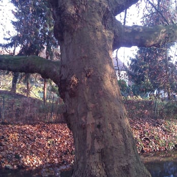 Parkanlagen - Parks Near Me