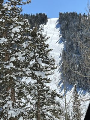 Eagle Point Resort by null