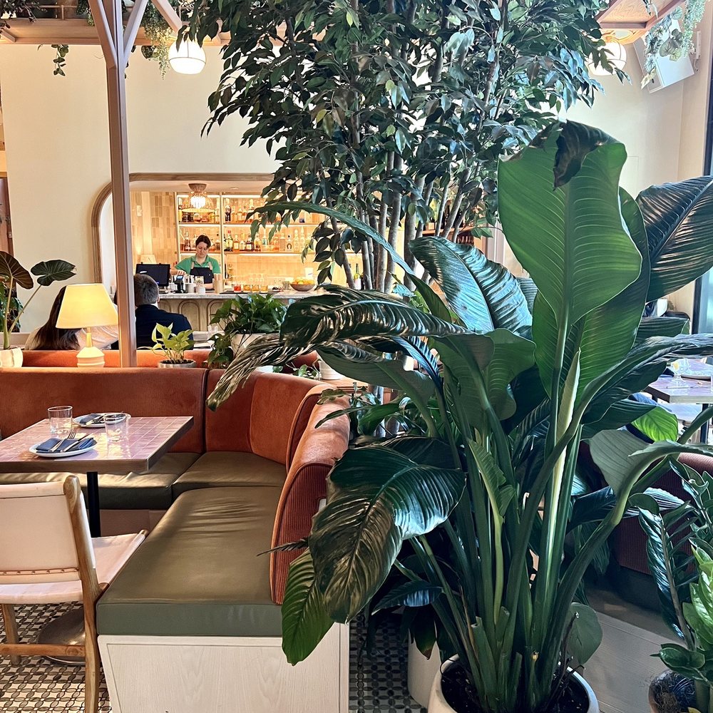 K'Far - Breakfast & Brunch Near Me - Brooklyn, New York