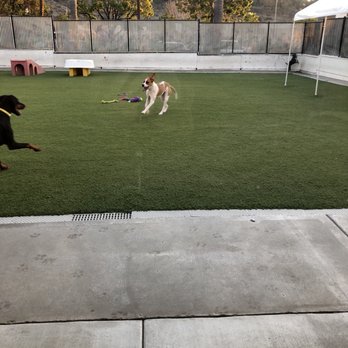 The Animal Keeper - Pet Training Near Me - Oceanside, California