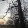 Photo of Blohms Park