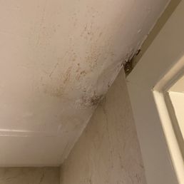 Mold over the shower Mold over the shower