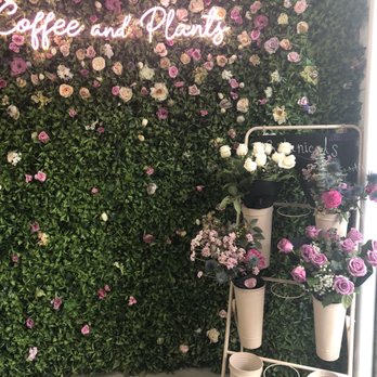 Coffee and Plants - Fresh flowers for sale - Coffee & Tea Near Me - Pasadena, California