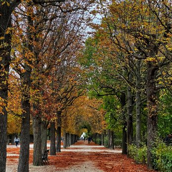 Schloss Schönbrunn - Landmarks & Historical Buildings Near Me - Vienna, 9