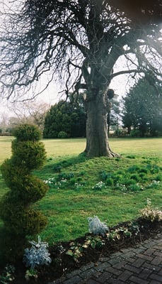 Thornton Hall Hotel & Spa by null