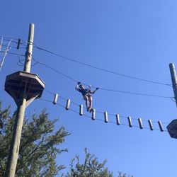 Go Ape Zipline and Adventure Park - High obstacle