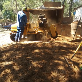 Stewart Stump Grinding - Tree Services Near Me