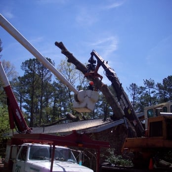 Wendell's Tree Service - Tree Services Near Me - Mena, Arkansas Wendell's Tree Service - Tree Services Near Me - Mena, Arkansas