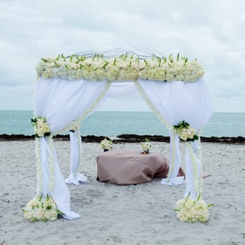 More Than Flowers - Florists Near Me - Miami, Florida More Than Flowers - Florists Near Me - Miami, Florida
