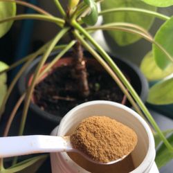 Tina Chen Acupuncture & Herbs - Custom herbs.