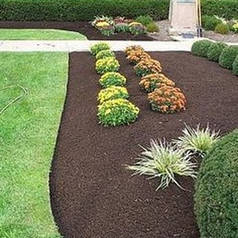 Turf Grow - a garden with various plants and shrubs - Landscaping Near Me - Binghamton, New York Turf Grow - a garden with various plants and shrubs - Landscaping Near Me - Binghamton, New York