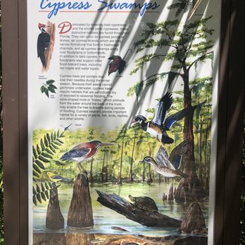 Big Cypress Bend Boardwalk - Parks Near Me - Naples, Florida
