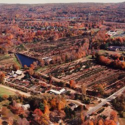 Young's At Three Rivers - An aerial view of our entire facility.