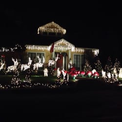 Christmas Tree Lane