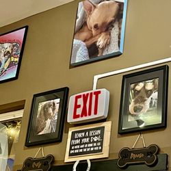 RustyMoose - The place is dedicated to the owners (past) dogs!
